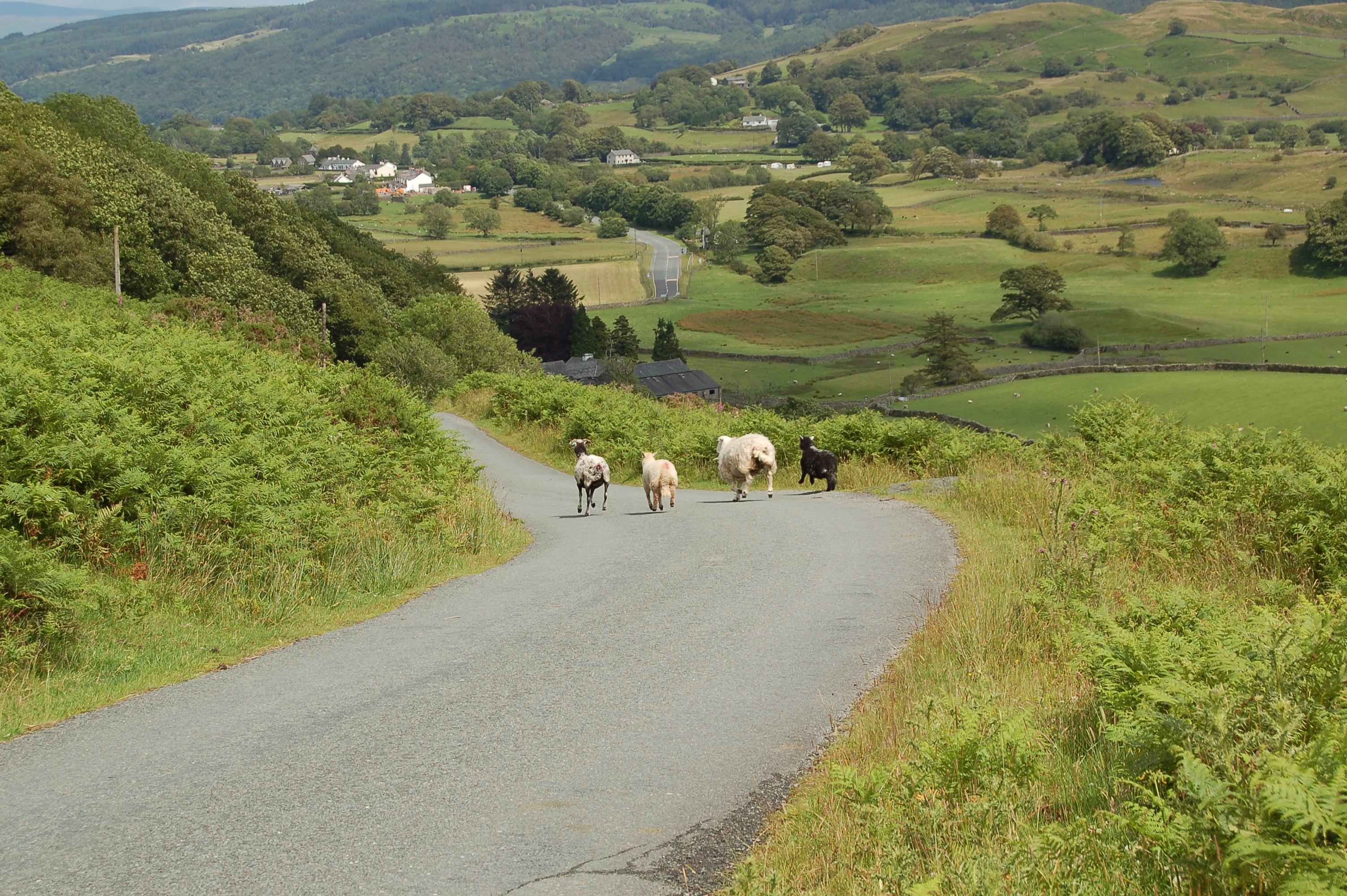 Lake District 2011