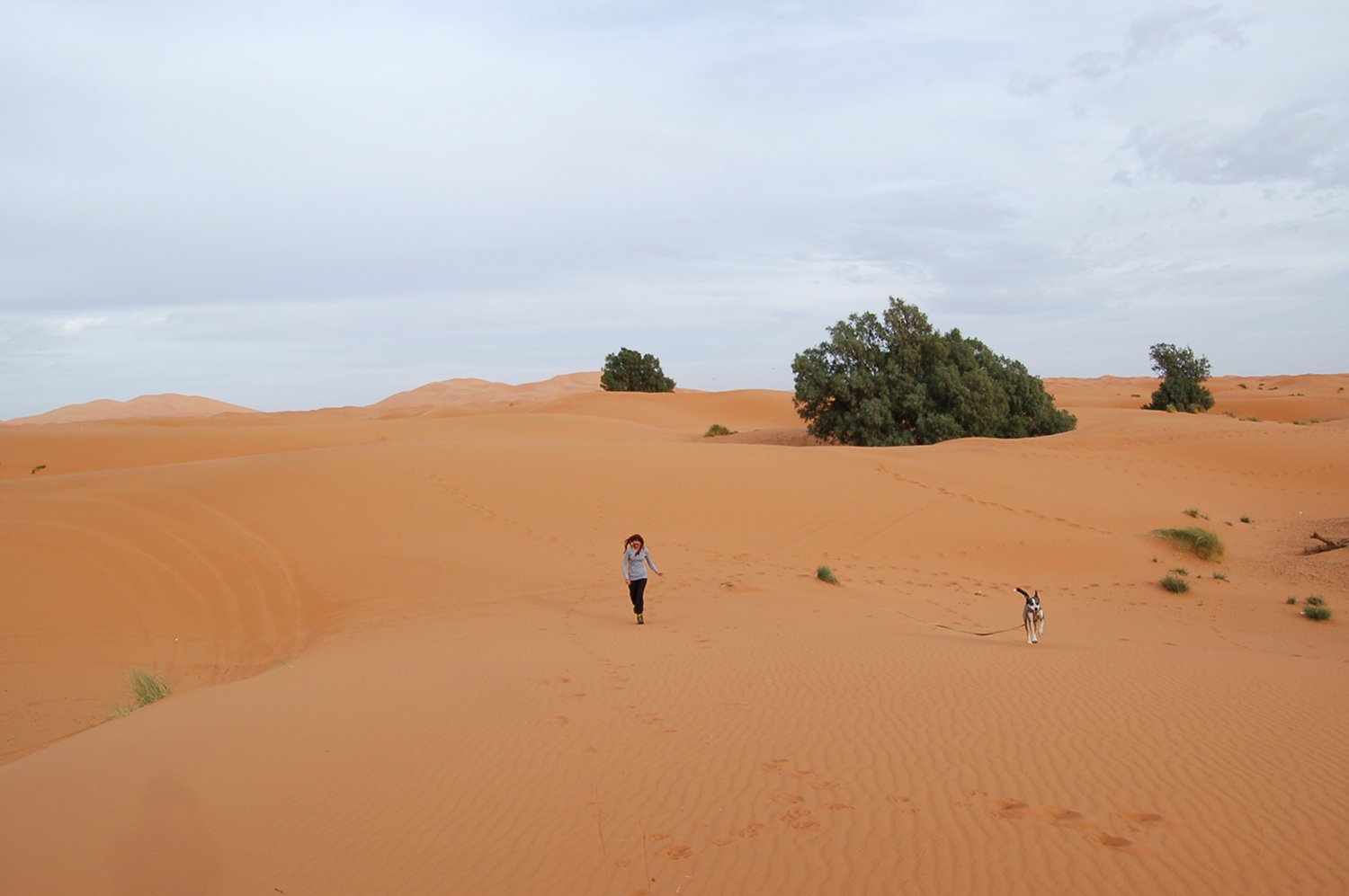 Merzouga, Erg Chebbi